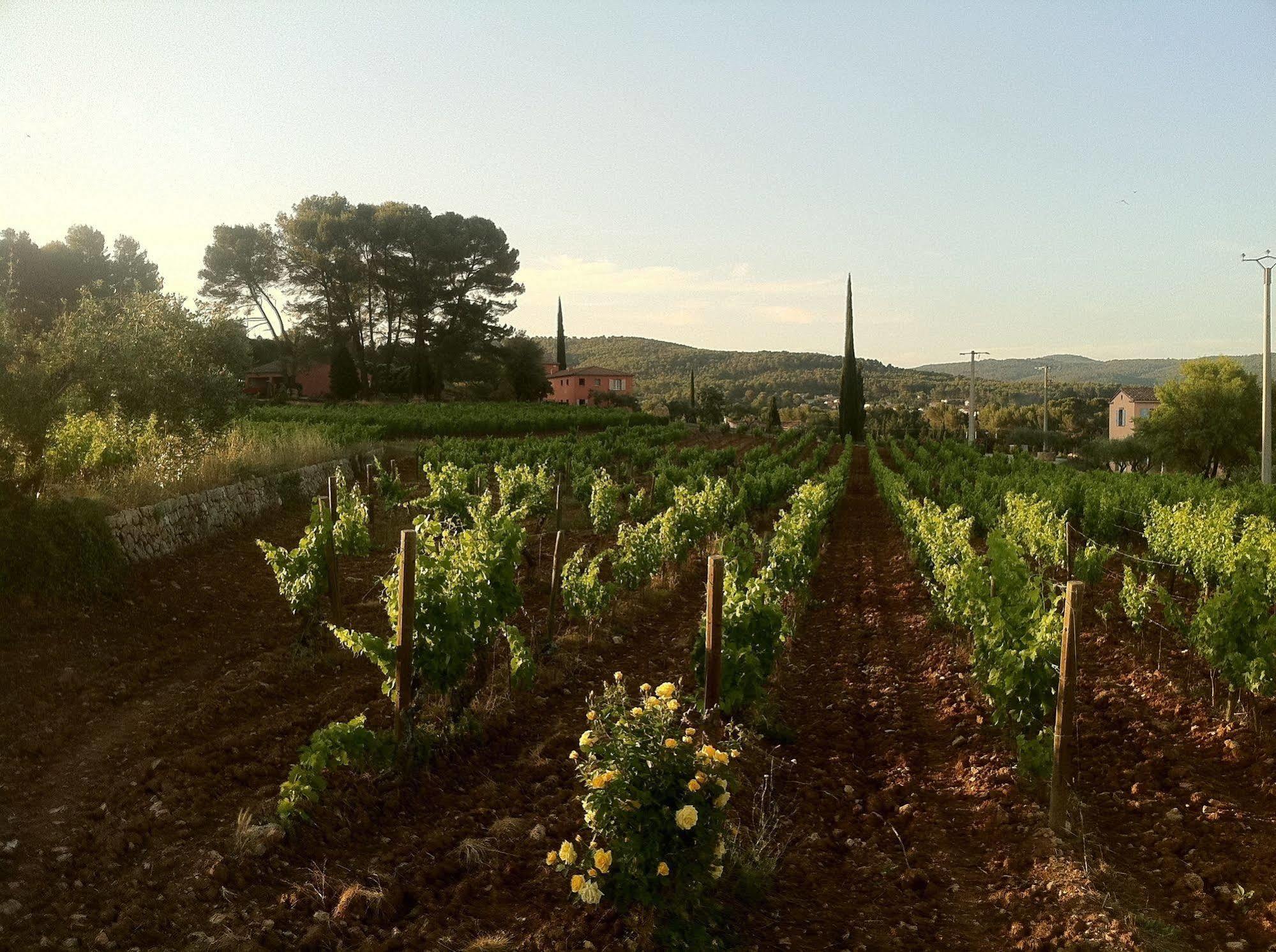 فندق Flayoscفي  Domaine Rabiega المظهر الخارجي الصورة