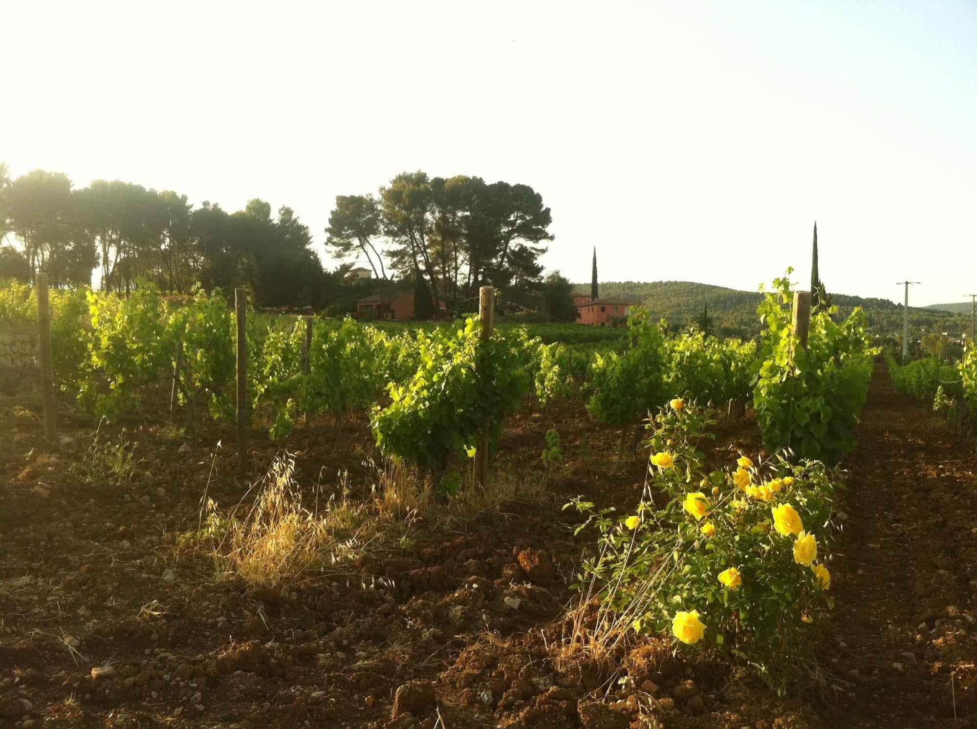 فندق Flayoscفي  Domaine Rabiega المظهر الخارجي الصورة